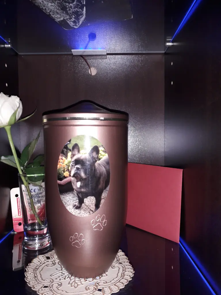 Condolence image of Angela