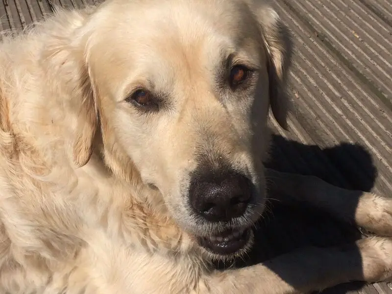 Andachtsbild von Andy und Piet ❤️