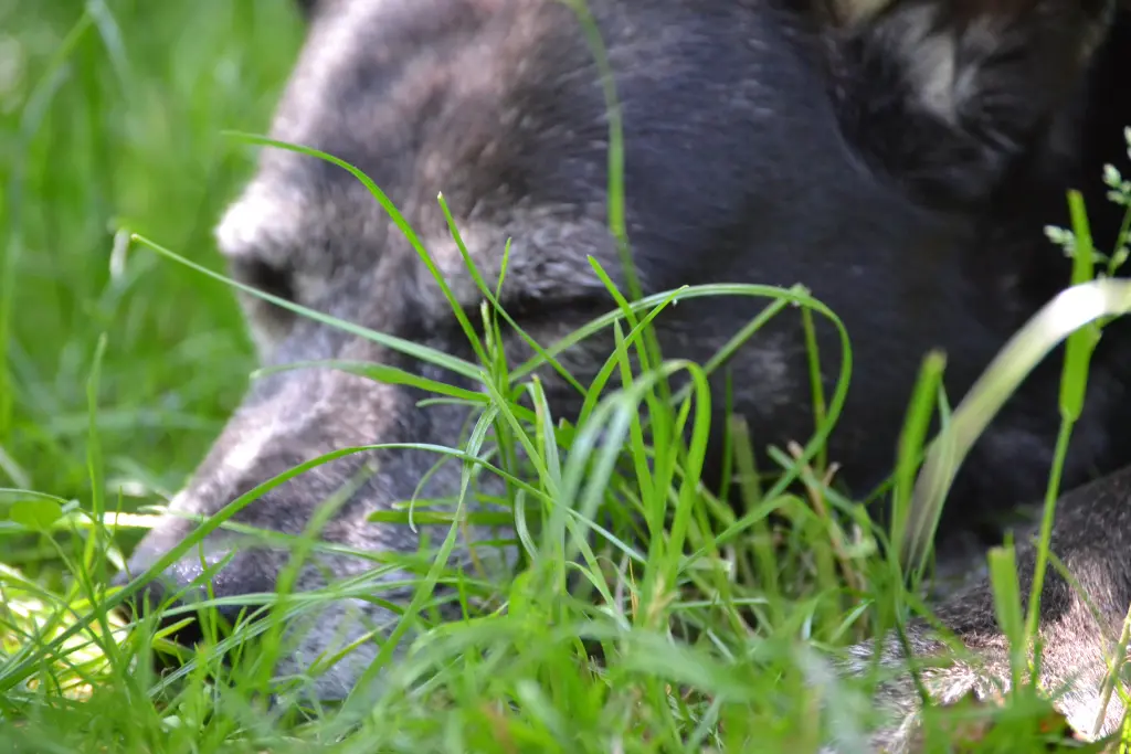Condolence image of Heike Spahn