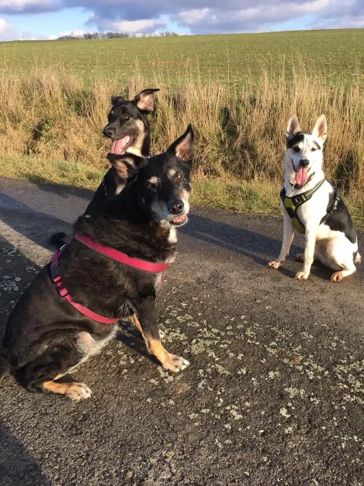 Condolence image of Stefanie  Schnabl 