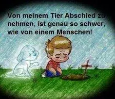 Condolence image of Angelika mit Balou im Herzen