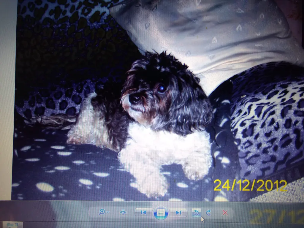 Condolence image of Sigrid