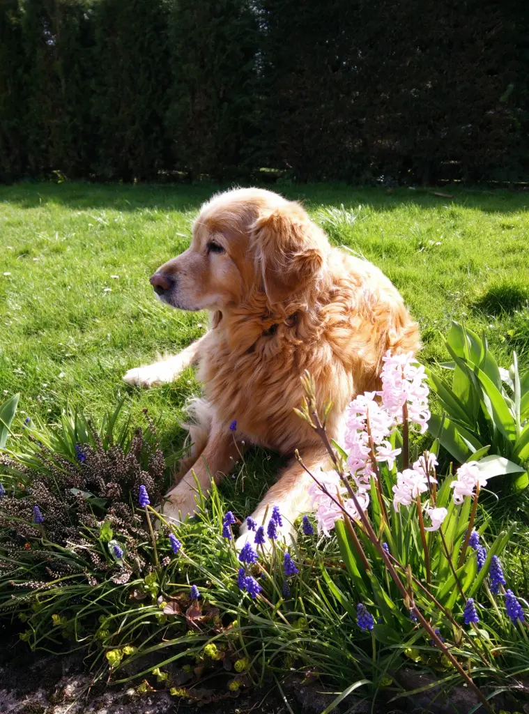 Condolence image of Michael mit ALESCA + 27.11.2017