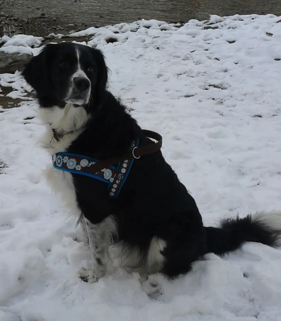 Condolence image of Bettina und Roger