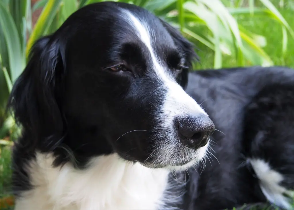 Condolence image of Bettina und Roger