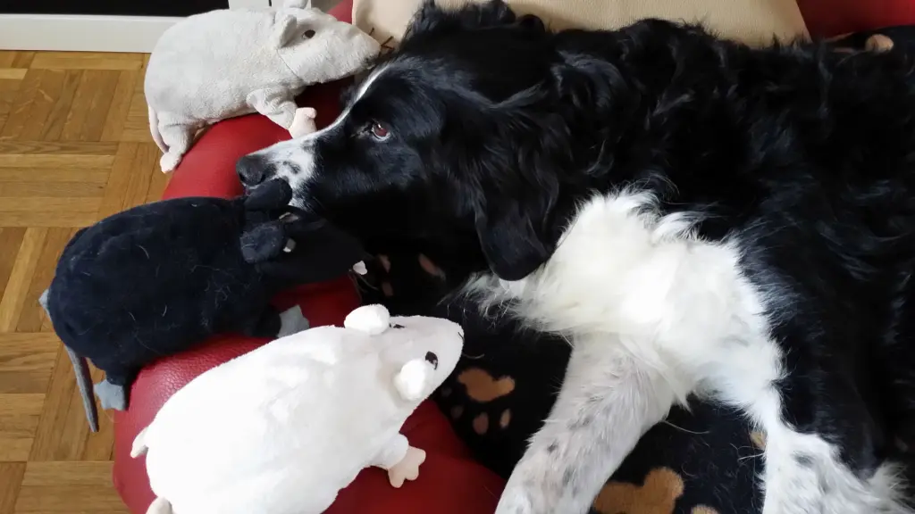 Condolence image of Bettina und Roger