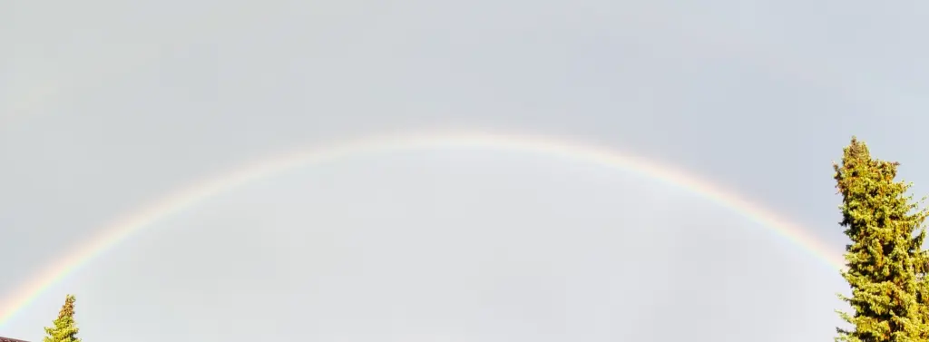 Condolence image of Bettina