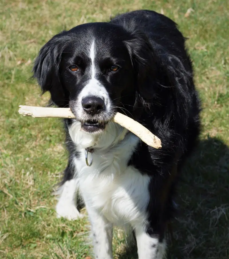 Condolence image of Bettina