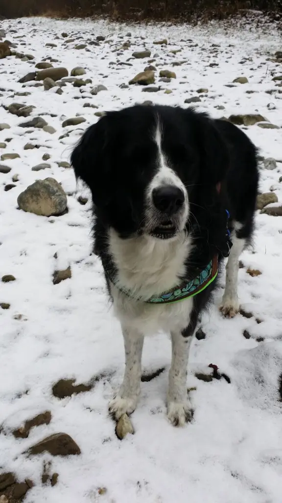 Condolence image of Bettina