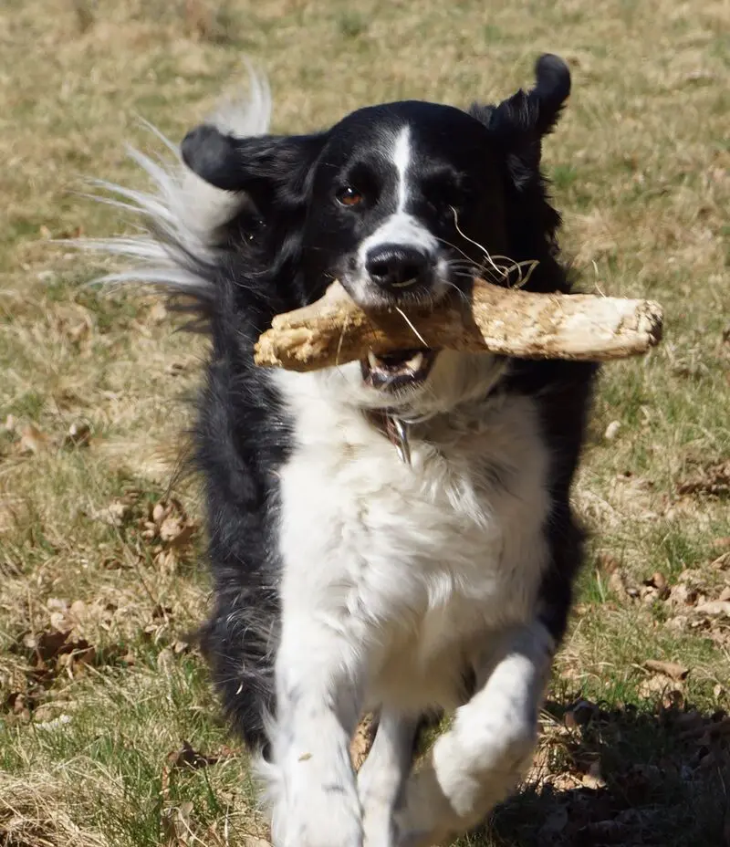 Condolence image of Bettina