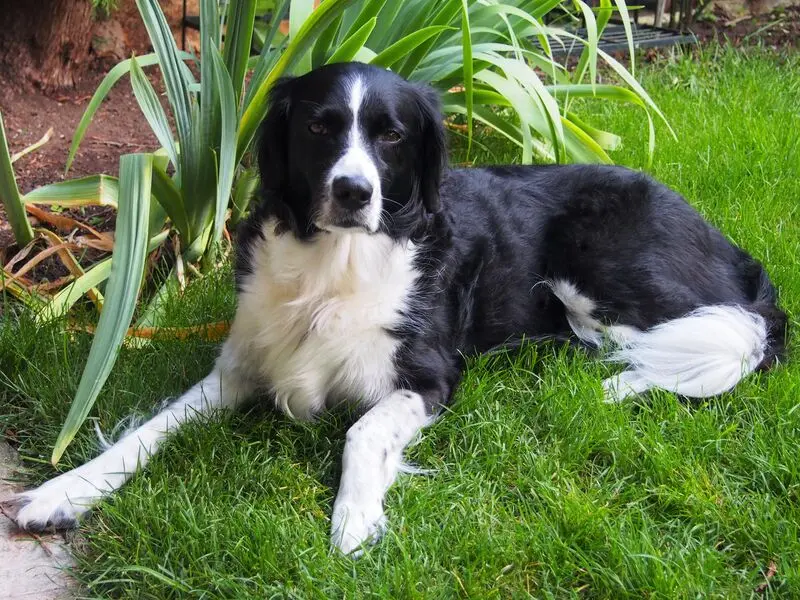 Condolence image of Bettina