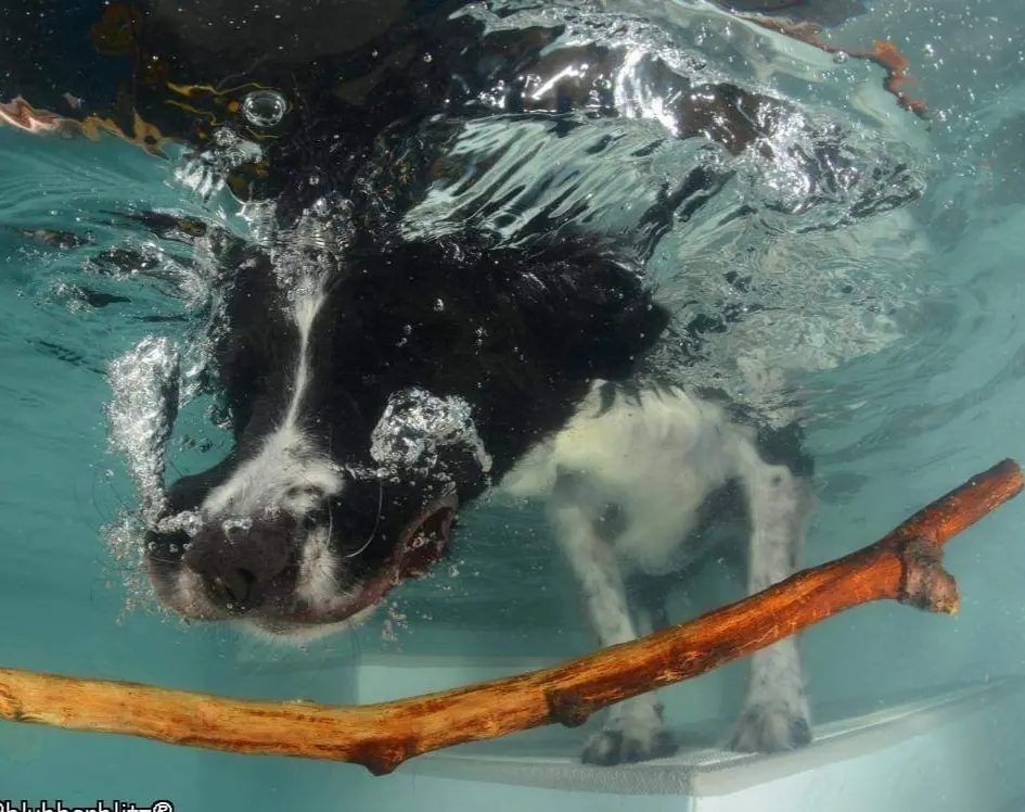 Condolence image of Bettina 