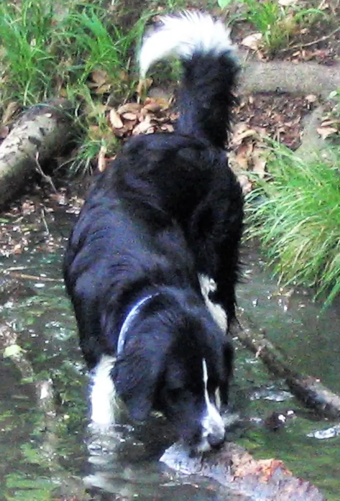 Condolence image of Bettina 