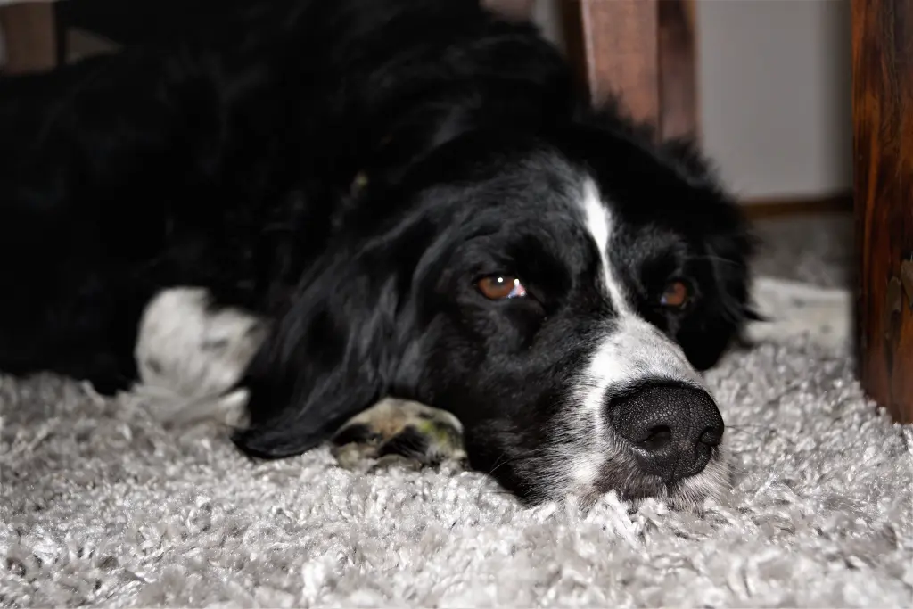 Condolence image of Bettina 