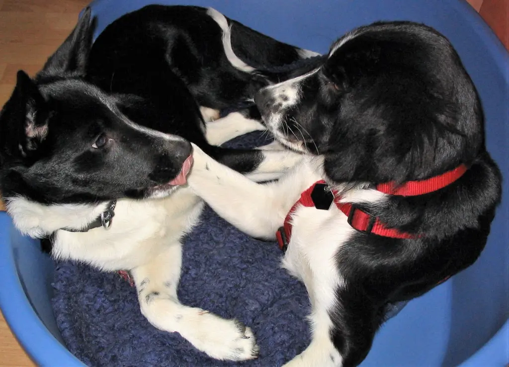 Condolence image of Bettina 