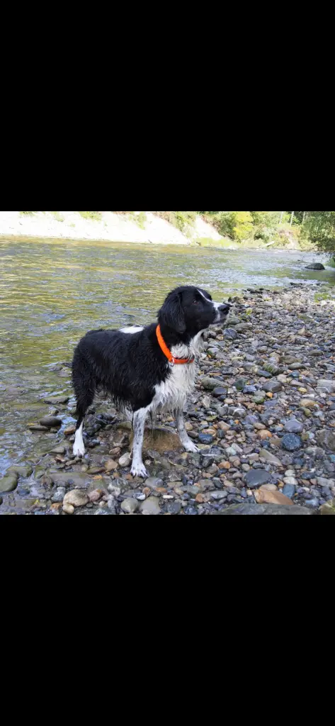 Condolence image of Bettina 