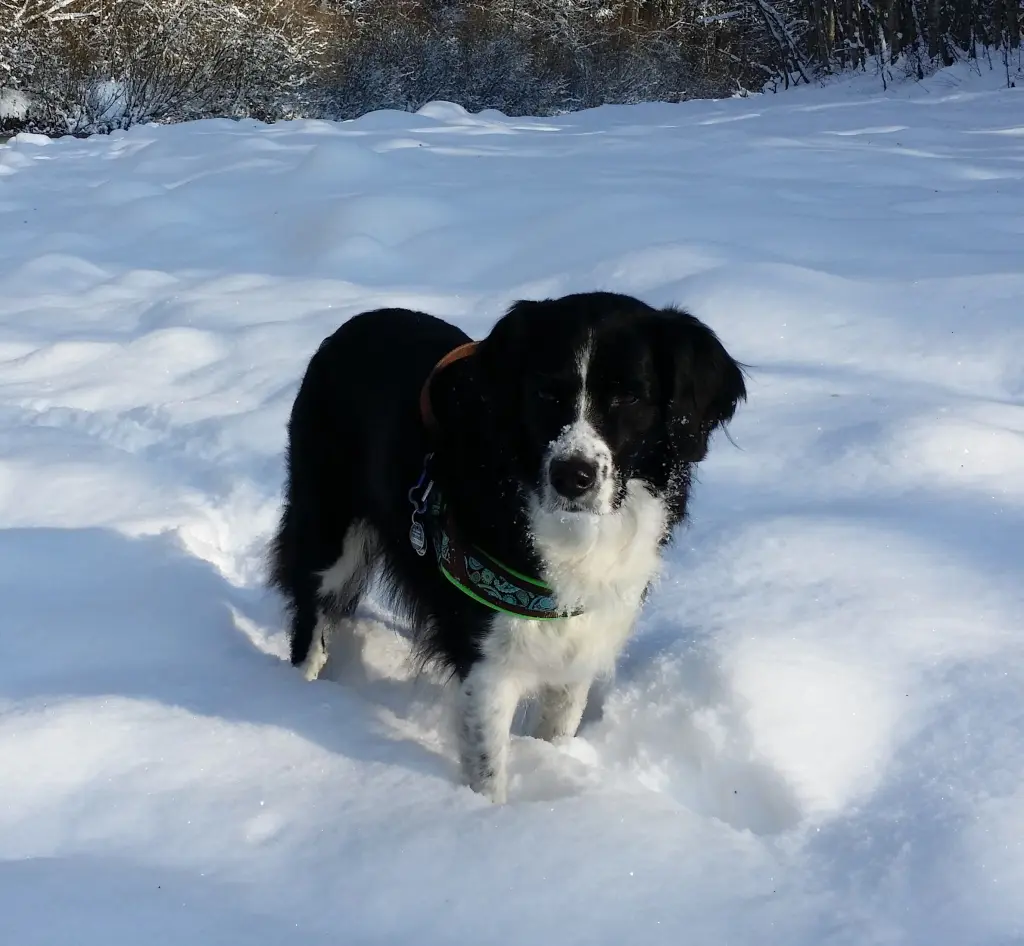 Condolence image of Bettina 