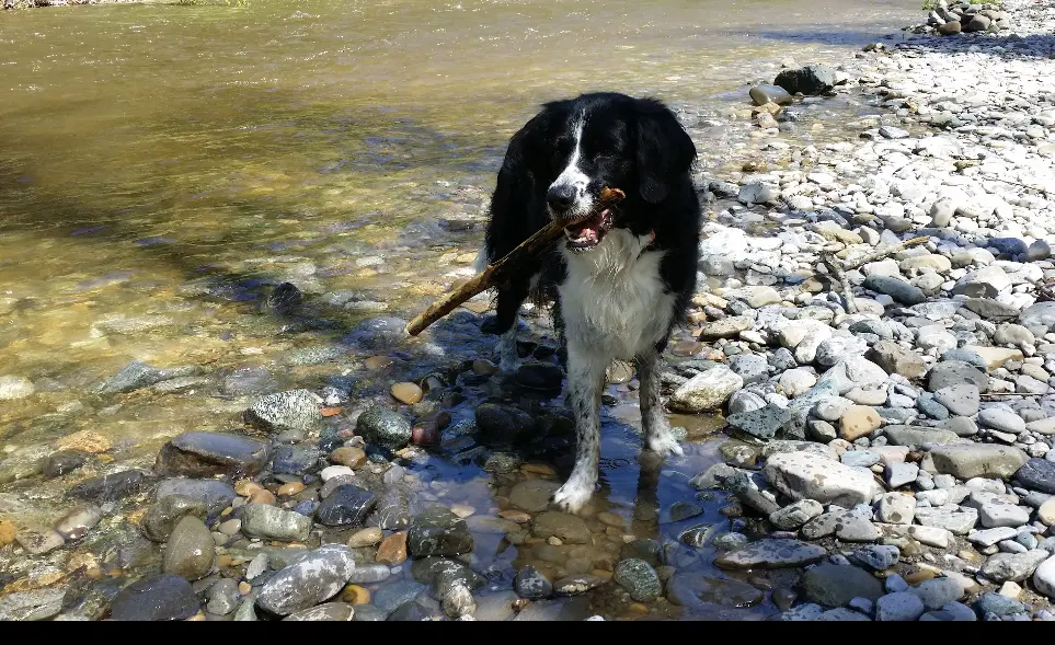 Condolence image of Bettina 