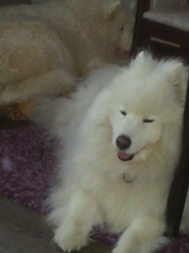 Condolence image of Doris