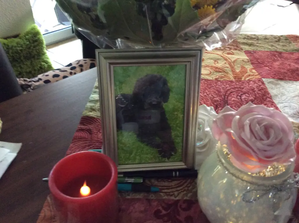 Condolence image of Heidi 