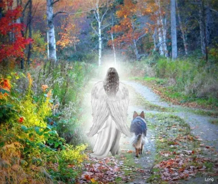 Condolence image of Gerhard