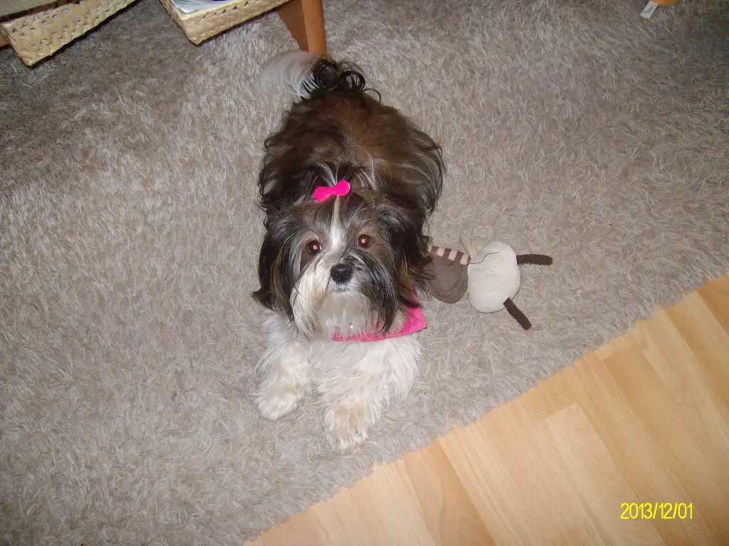 Image from Lena (Komtess Kalena) 