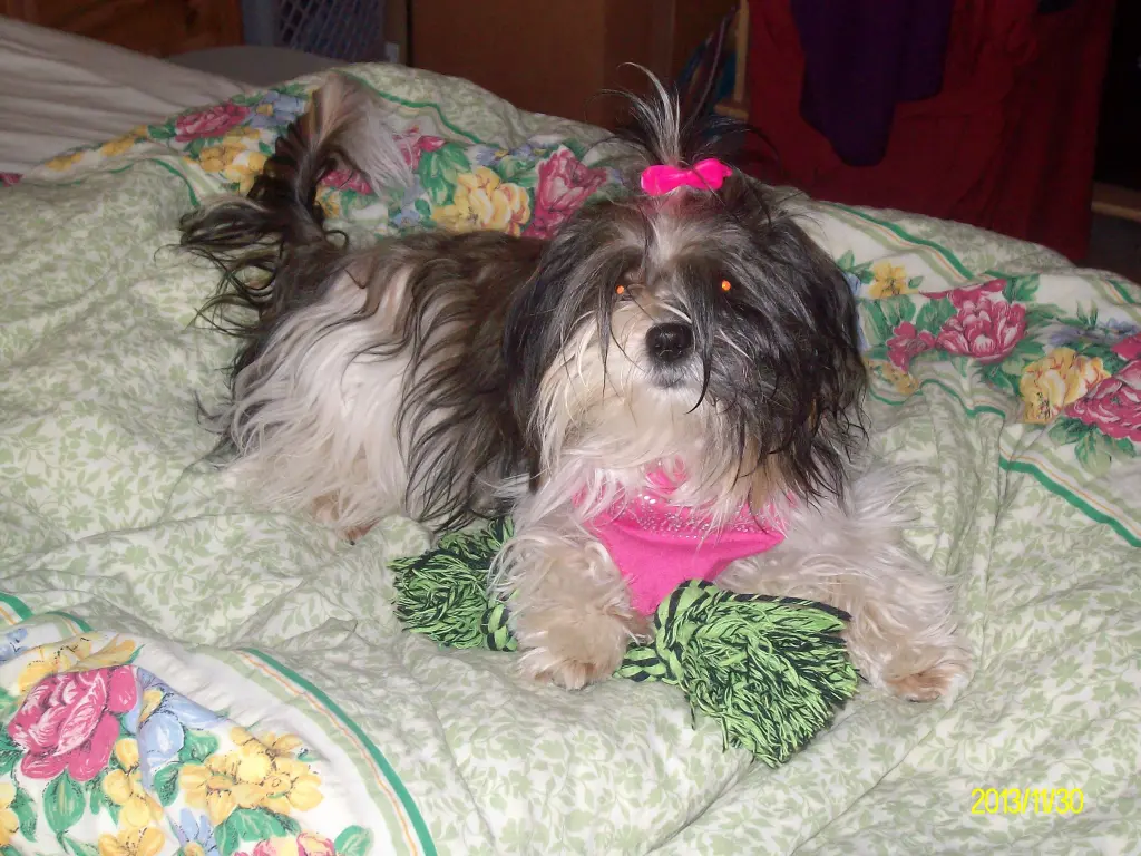 Image from Lena (Komtess Kalena) 