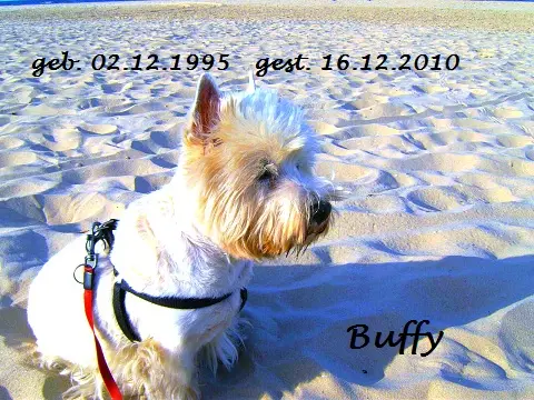 Image from Buffy