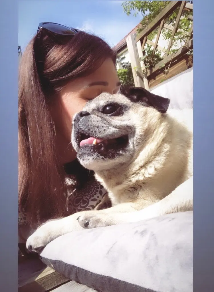 Andachtsbild von Franzi