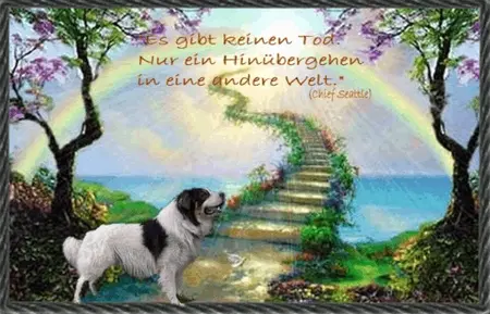 Condolence image of Gisela