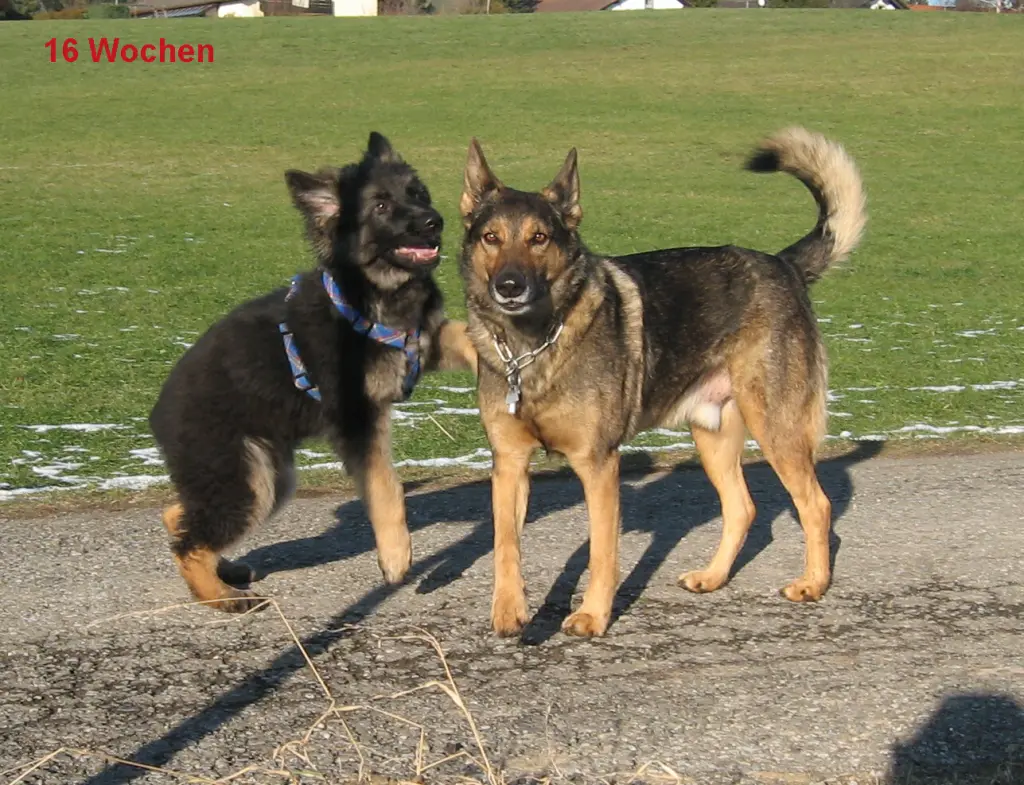 Condolence image of Brigitte und Robert