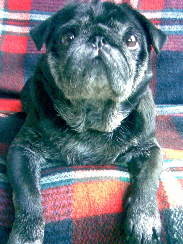 Condolence image of Mara