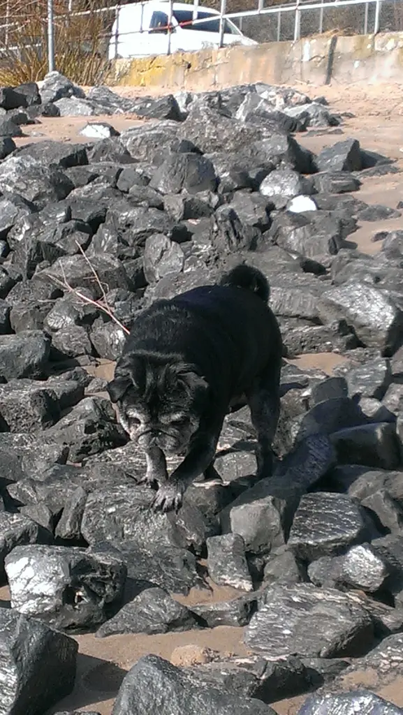 Condolence image of Mara