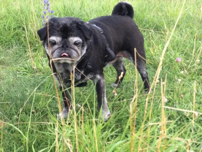 Condolence image of Unbekannt