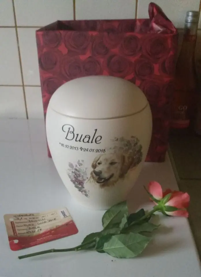 Image from Buale