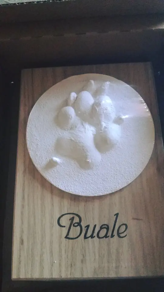 Image from Buale