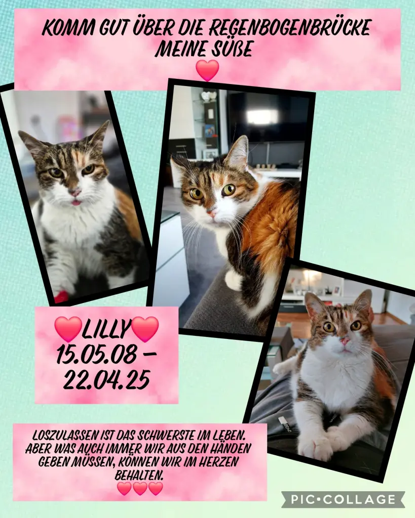 Andachtsbild von Tanja und Lilly