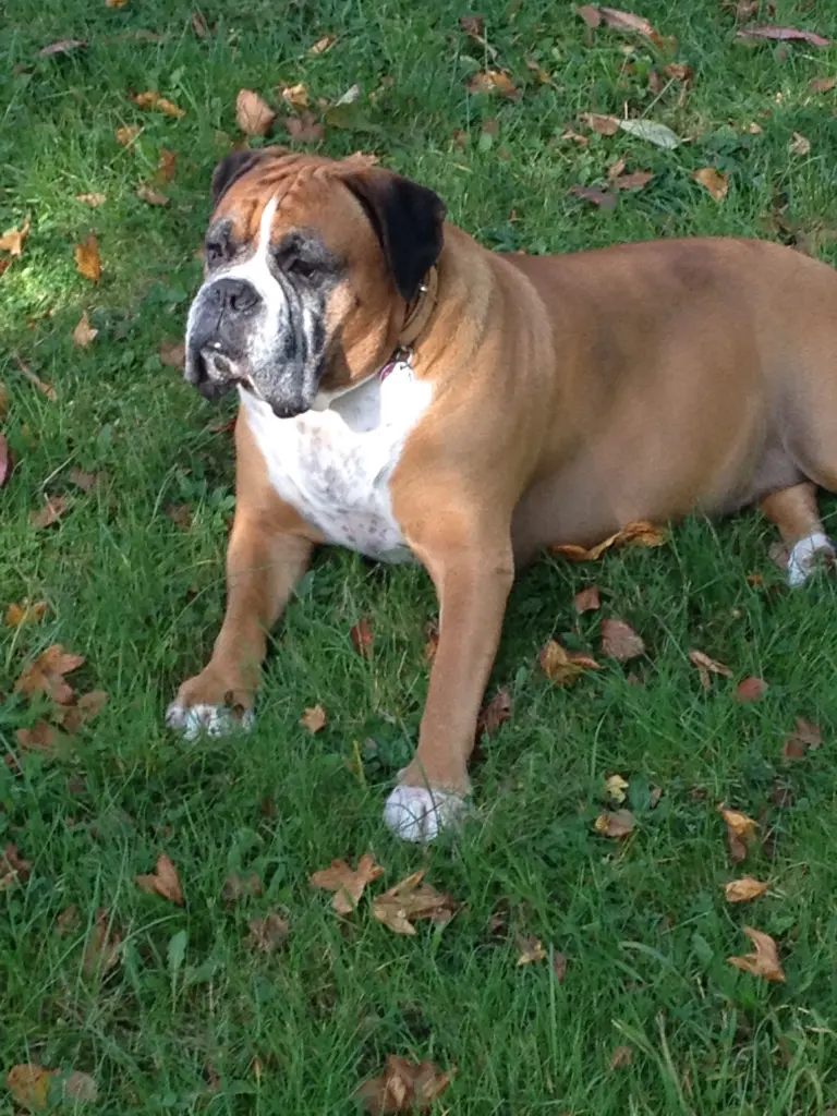 Condolence image of Yurdagül  Sertbas 