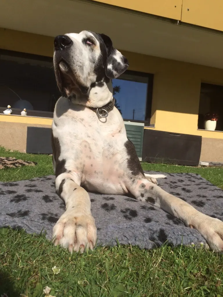 Andachtsbild von Esther mit linu