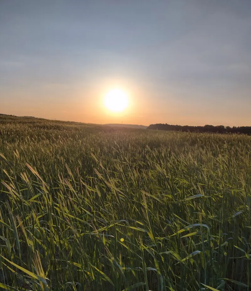 Andachtsbild von für Ben