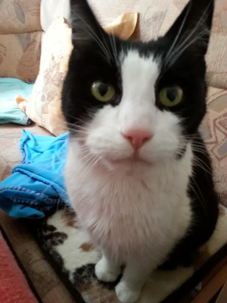 Condolence image of Unbekannt