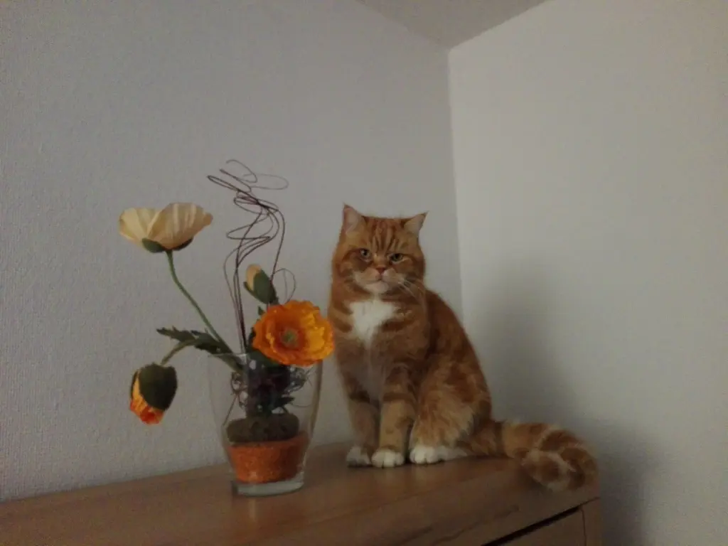 Condolence image of Ulrike mit Garfield im Herzen