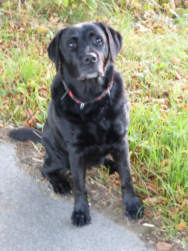 Condolence image of Peter Weidensee