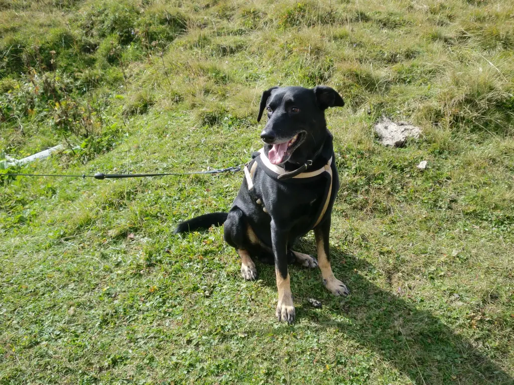 Condolence image of Andreas Kemner