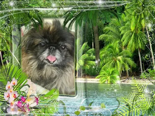 Image from dich meine kleine Sina