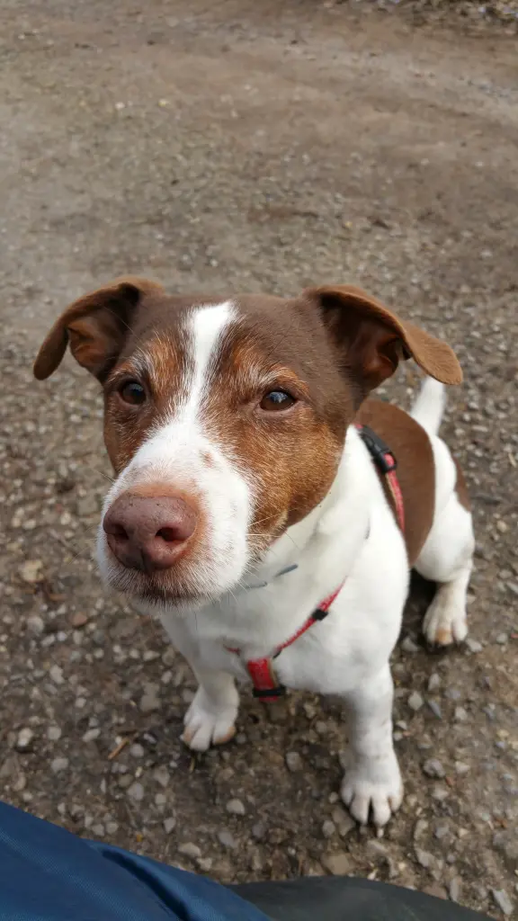 Condolence image of Holger