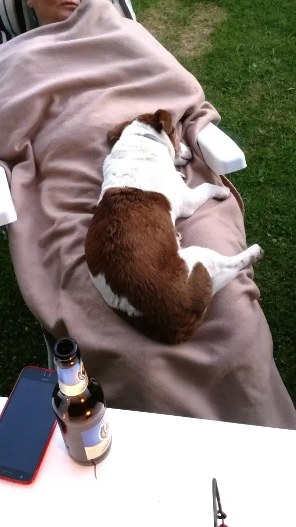 Condolence image of Sabine