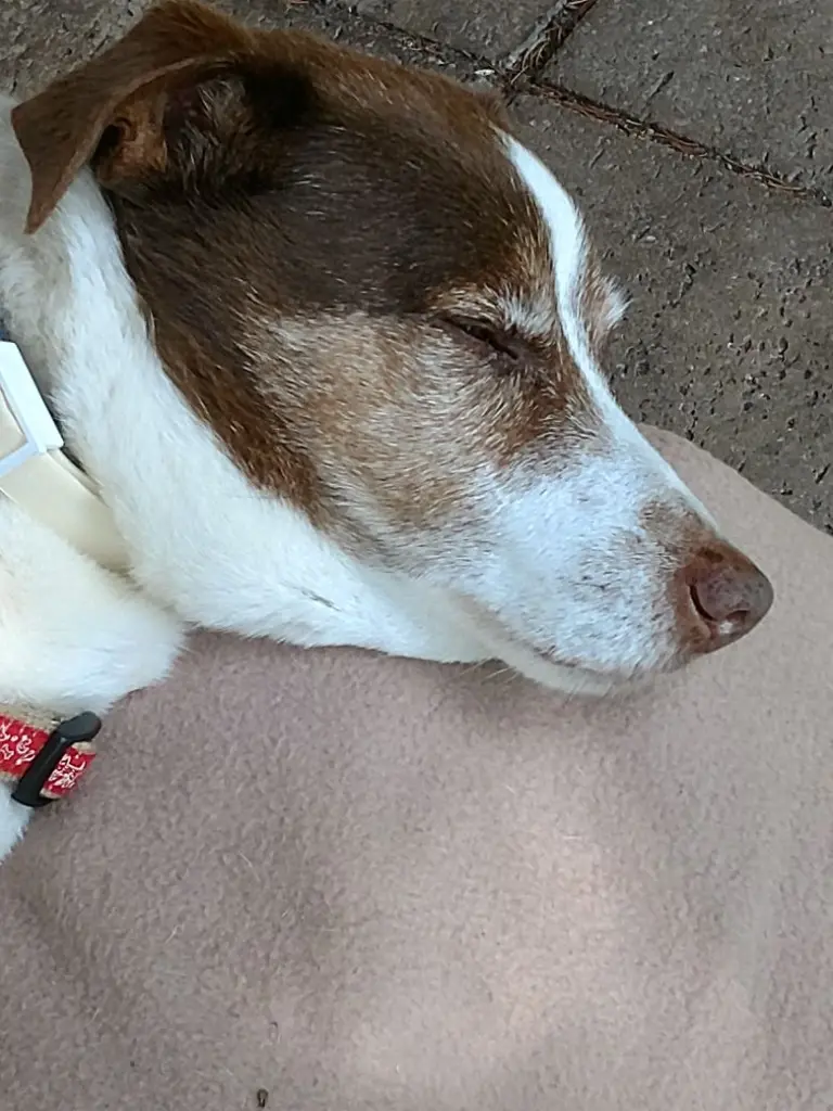 Condolence image of Holger