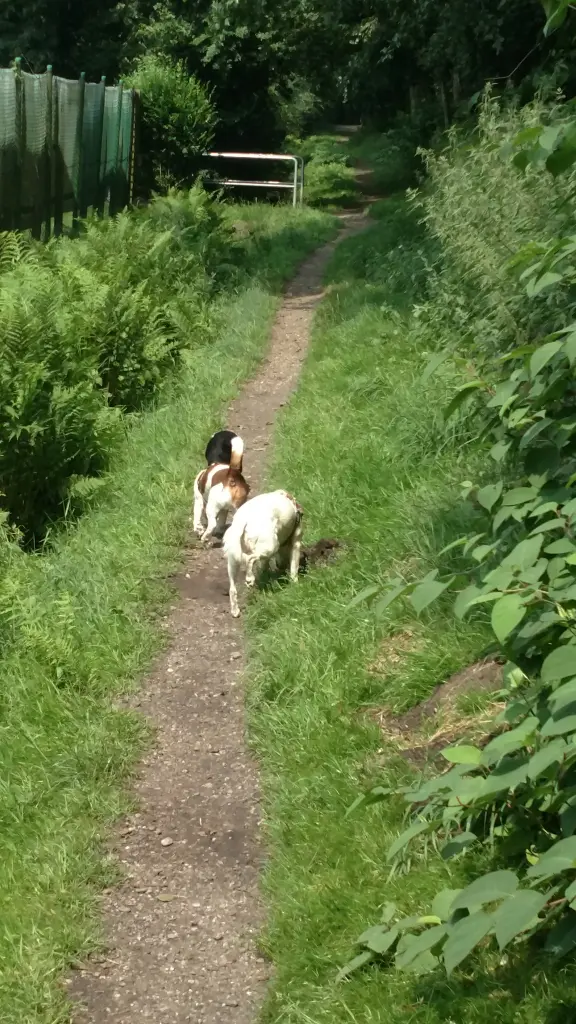 Condolence image of Holger