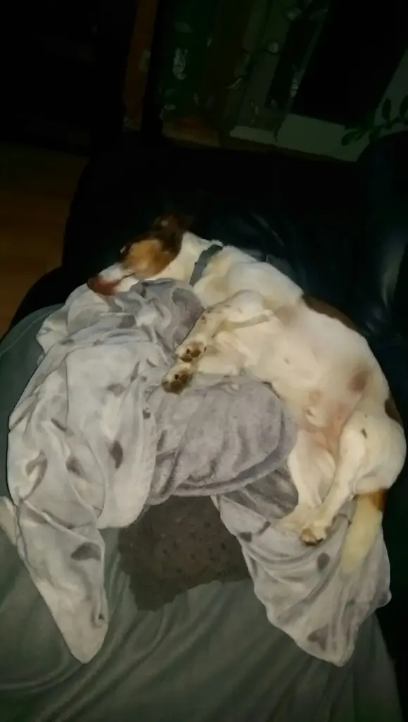 Condolence image of Sabine